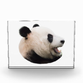 Bloque Para Fotos Cortar un oso panda