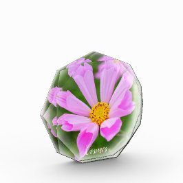 Bloque Para Fotos Cosmos