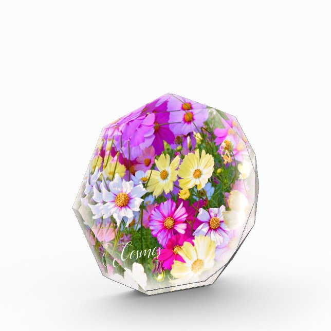 Bloque Para Fotos Cosmos フォトブロック (Izquierda)