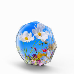 Bloque Para Fotos Cosmos フォトブロック