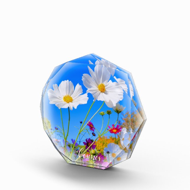 Bloque Para Fotos Cosmos フォトブロック (Derecha)