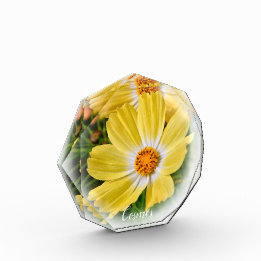 Bloque Para Fotos Cosmos フォトブロック