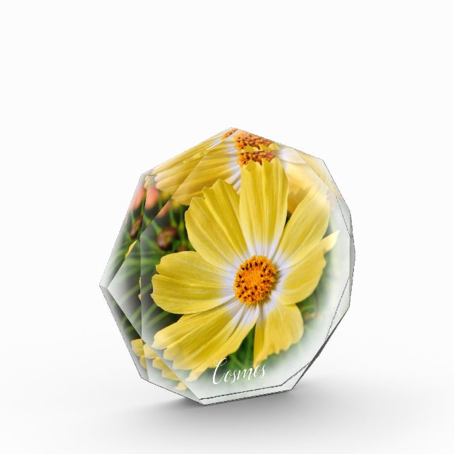 Bloque Para Fotos Cosmos フォトブロック (Izquierda)