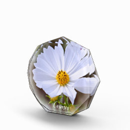 Bloque Para Fotos Cosmos フォトブロック