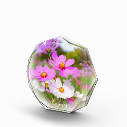 Bloque Para Fotos Cosmos フォトブロック