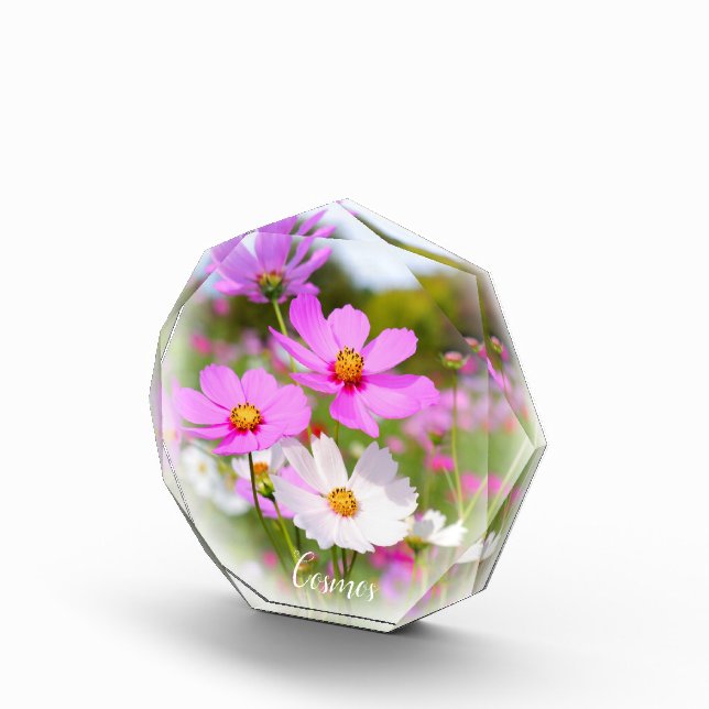 Bloque Para Fotos Cosmos フォトブロック (Derecha)