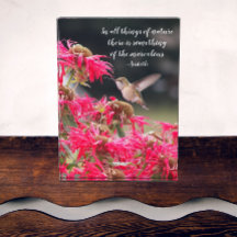 Cotización filosófica de Aristóteles