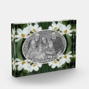 Bloque Para Fotos Crea Tus Propias Flores Cosmos Y Abejas