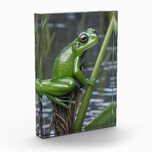 Bloque Para Fotos "Crystal Clarity: Rana de vidrio verde sobre cañas
