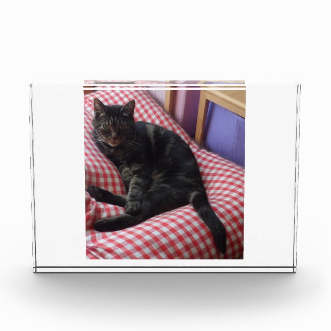 Bloque Para Fotos Cute Dave Acrylic Photo Block (Anverso)