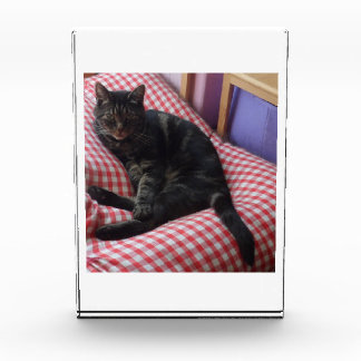 Bloque Para Fotos Cute Dave Acrylic Photo Block