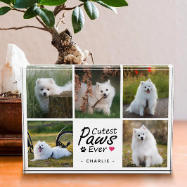 Bloque Para Fotos Cutest Paws Ever Modern Cute Pet Dog Photo Collage