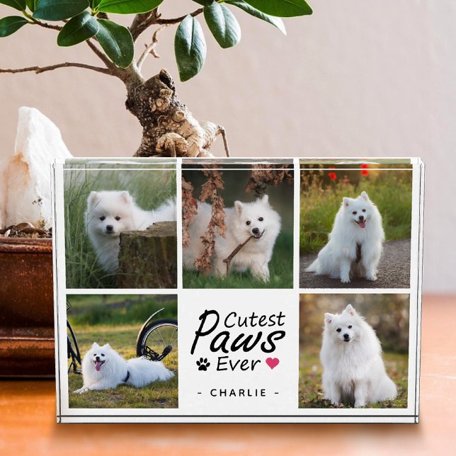 Bloque Para Fotos Cutest Paws Ever Modern Cute Pet Dog Photo Collage (Subido por el creador)