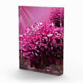 Bloque Para Fotos Dahlia Flowers