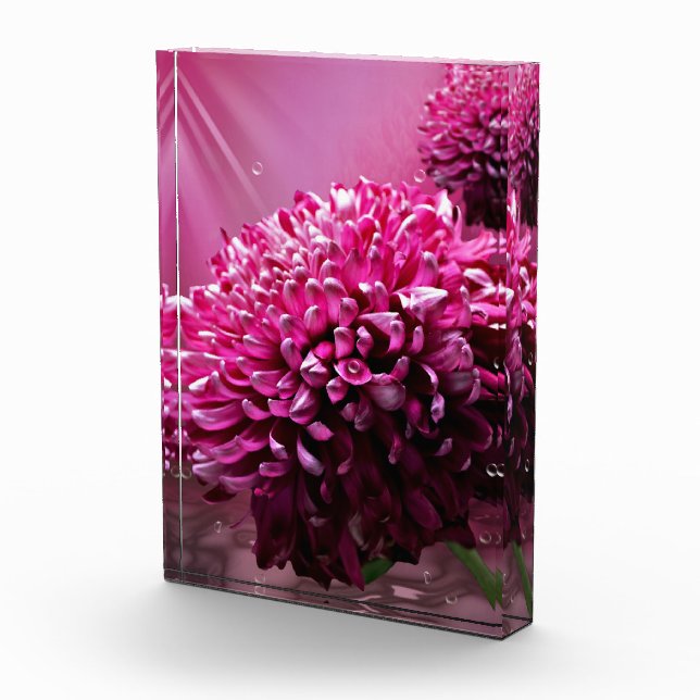 Bloque Para Fotos Dahlia Flowers (Derecha)