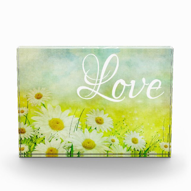 Bloque Para Fotos Daisy Love (Anverso)