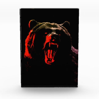 Bloque Para Fotos Dark Wild Bear Portrait in Dramatic Lighting