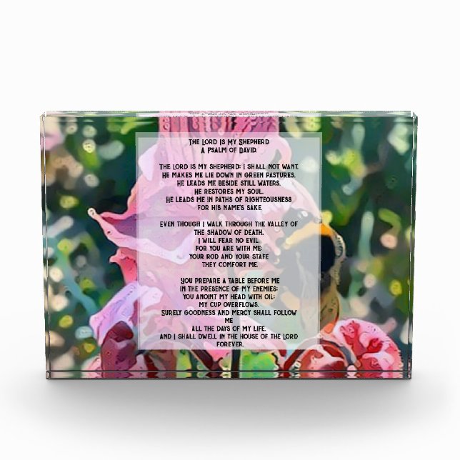 Bloque Para Fotos David Psalm 23 biblical quote (Anverso)