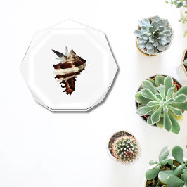 Bloque Para Fotos Decoración de escritorio de mariposa de pisapapele