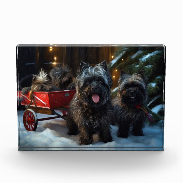 Bloque Para Fotos Decoración de los Navidades del Affenpinscher Snow (Anverso)
