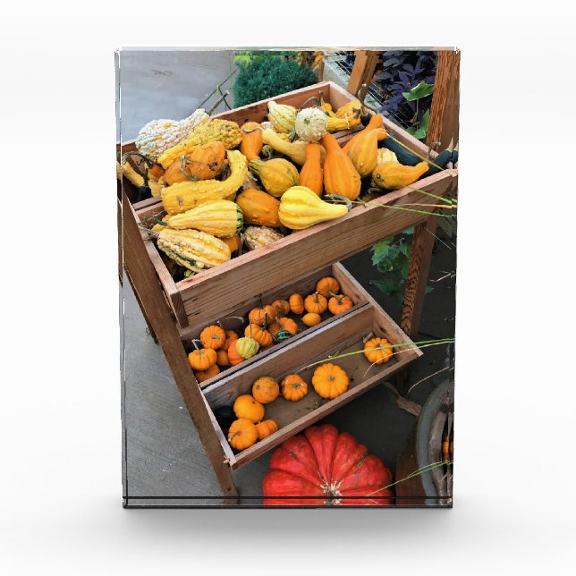 Bloque Para Fotos Decoración de otoño (Anverso)