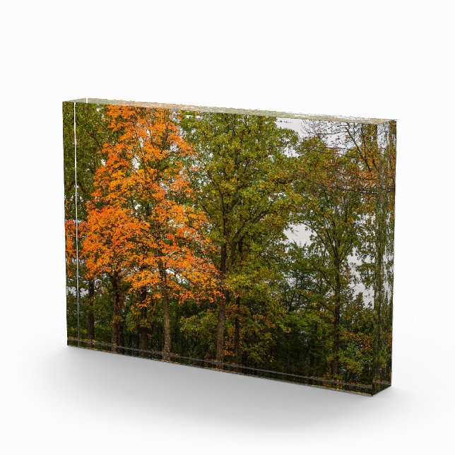 Bloque Para Fotos Descubrir (Derecha)