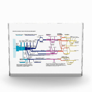 Bloque Para Fotos Diagrama de flujo Sistema de Justicia Penal Estado