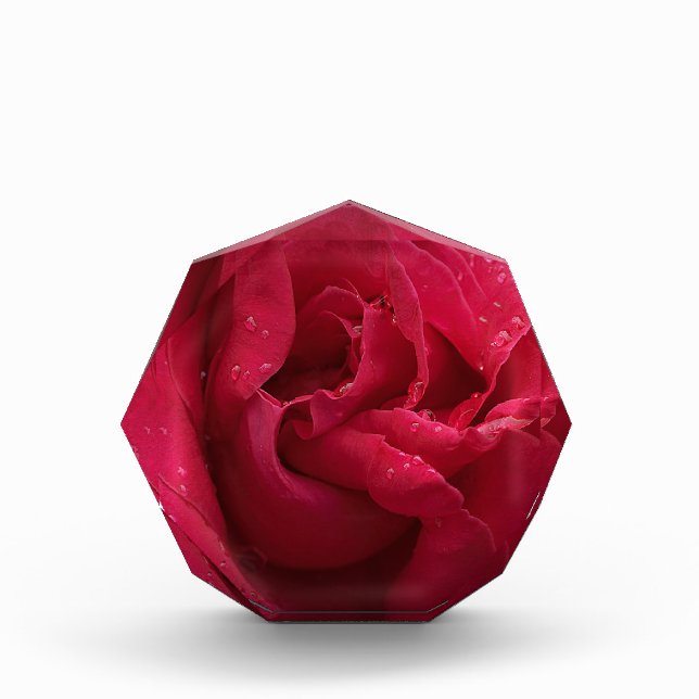 Bloque Para Fotos Diamantes rojos (Anverso)