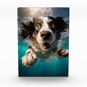 Bloque Para Fotos Diseño de perro emocionado nadando bajo el agua