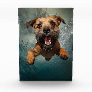 Bloque Para Fotos Diseño de perro juguetón nadando bajo el agua