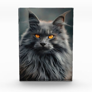 Bloque Para Fotos Diseño de retrato de gato majestuoso de pelo largo