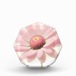 Bloque Para Fotos Diseño floral de margarita rosa