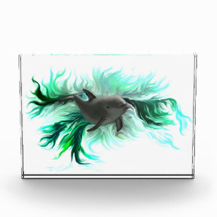 Bloque Para Fotos Dolphin Baby