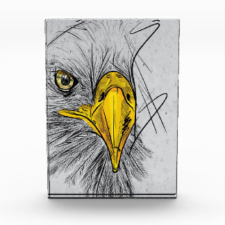 Bloque Para Fotos Eagle Sketch Face Wall Art