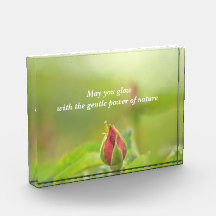 Earth’s Glow and Healing Japanese Flowers/EarthDay