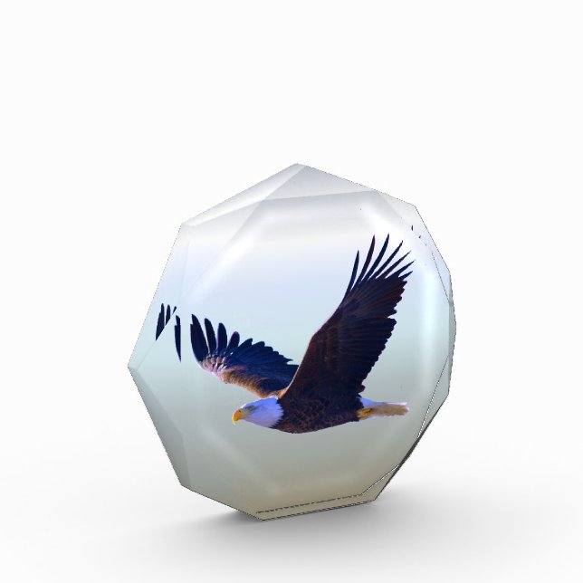 Bloque Para Fotos El águila calva volando (Izquierda)