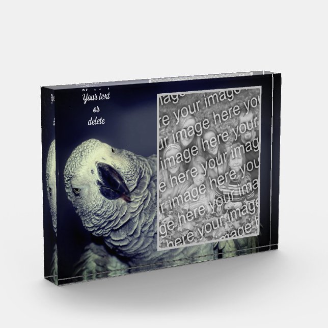 Bloque Para Fotos El loro gris africano personalizado añade el tuyo  (Izquierda)