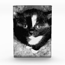 El observador silencioso