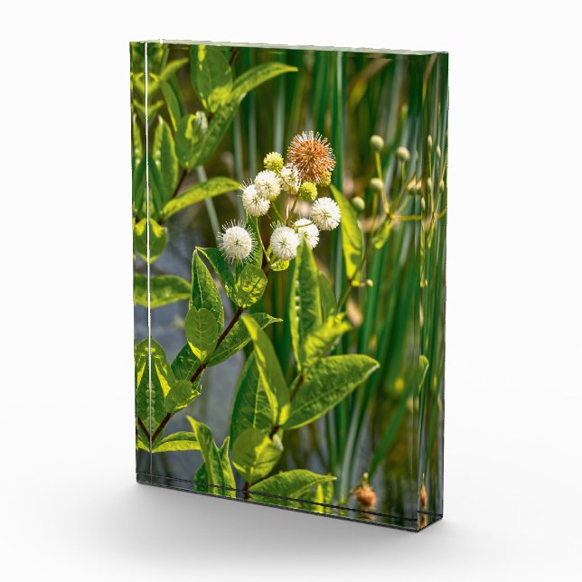 Bloque Para Fotos Elegancia en el pondside: Flor en flor (Derecha)