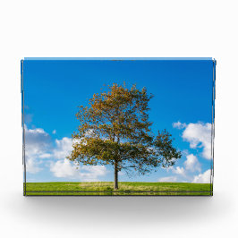 Bloque Para Fotos En Lo Alto Del Mundo