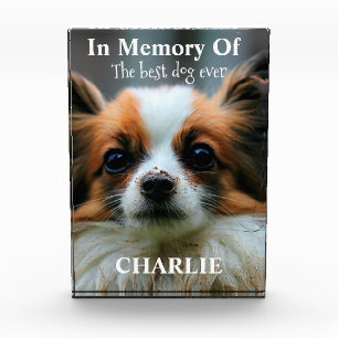 Bloque Para Fotos En memoria del mejor perro de la historia