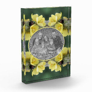 Bloque Para Fotos Escarabajo En Flor De Mullein Silvestre Añade Tu
