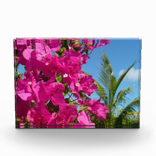 Bloque Para Fotos Escena natural tropical de buganvilla y palmera