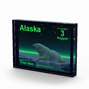 Bloque Para Fotos Estampilla del oso polar del borde del hielo