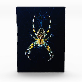 Bloque Para Fotos European Garden Spider pbcna