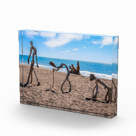 Bloque Para Fotos Evolución