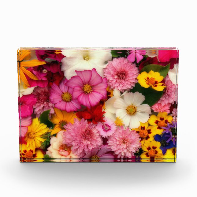 Bloque Para Fotos Explosión de flores (Anverso)