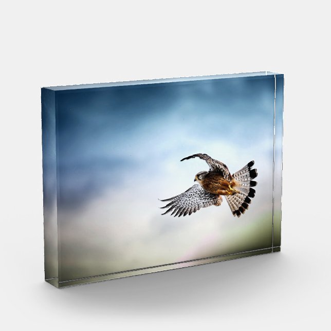Bloque Para Fotos Falcon Soaring in the Sky (Izquierda)