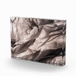 Bloque Para Fotos Feathers