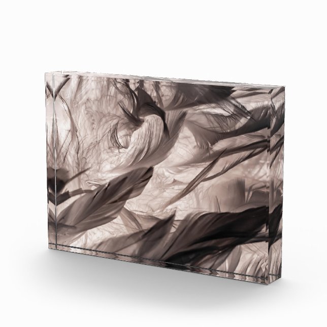 Bloque Para Fotos Feathers (Derecha)